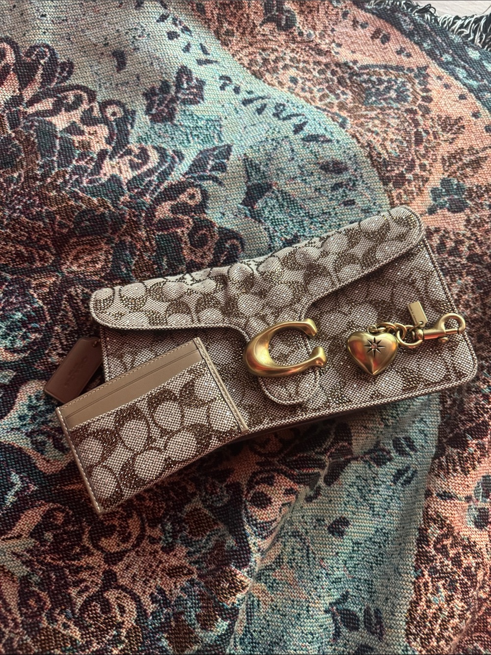 mushroom crystal tabby 26 + card case + charm